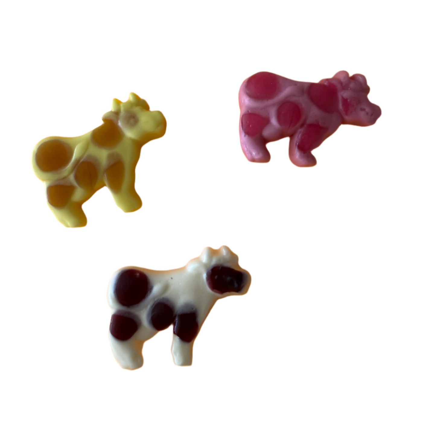Gummy Cows
