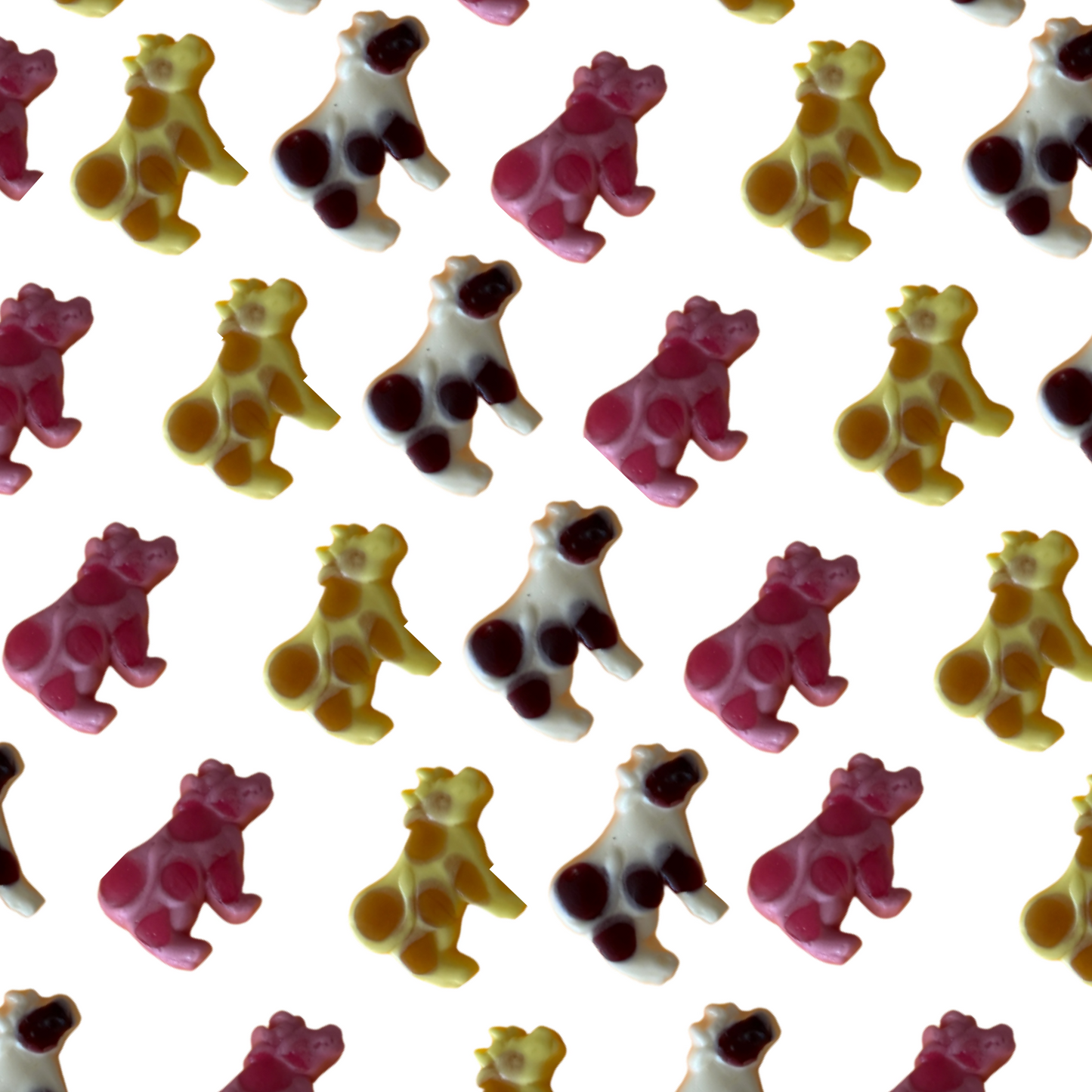 Gummy Cows
